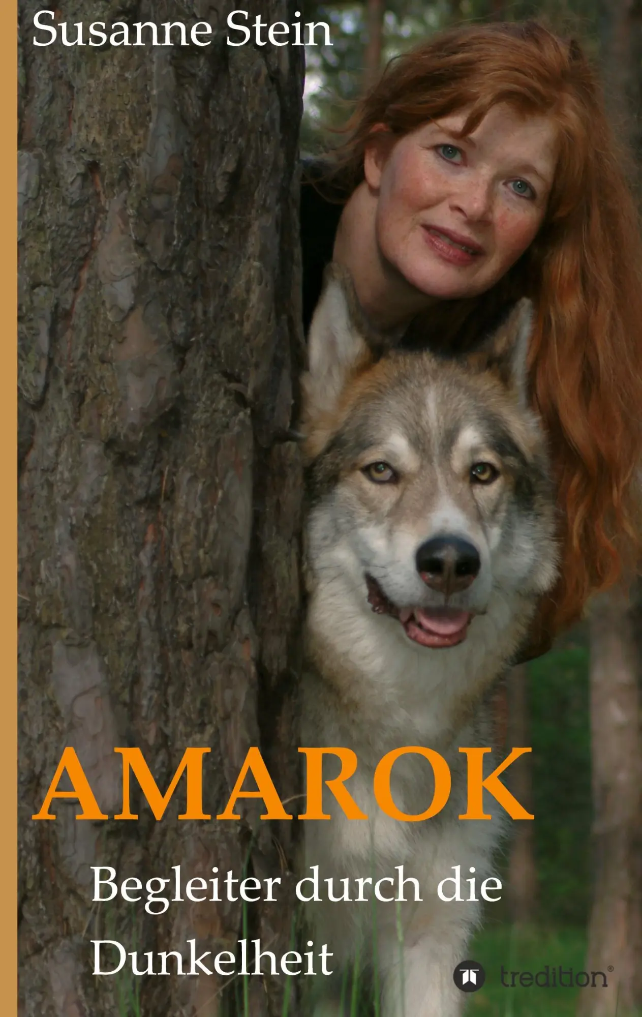Cover: 9783347147843 | AMAROK | Begleiter durch die Dunkelheit | Susanne Stein | Buch | 2020