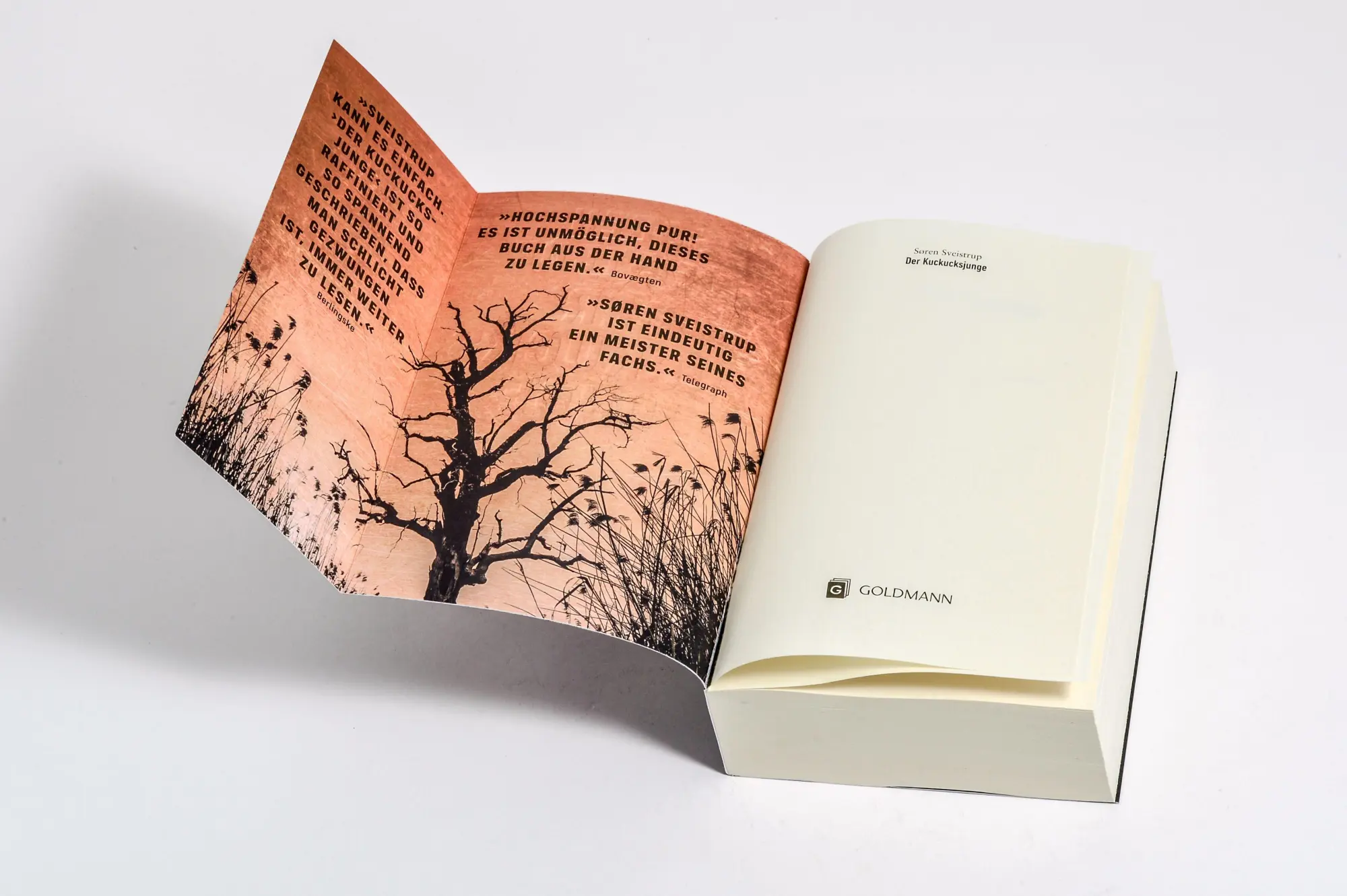 Bild: 9783442317943 | Der Kuckucksjunge | Søren Sveistrup | Taschenbuch | 672 S. | Deutsch