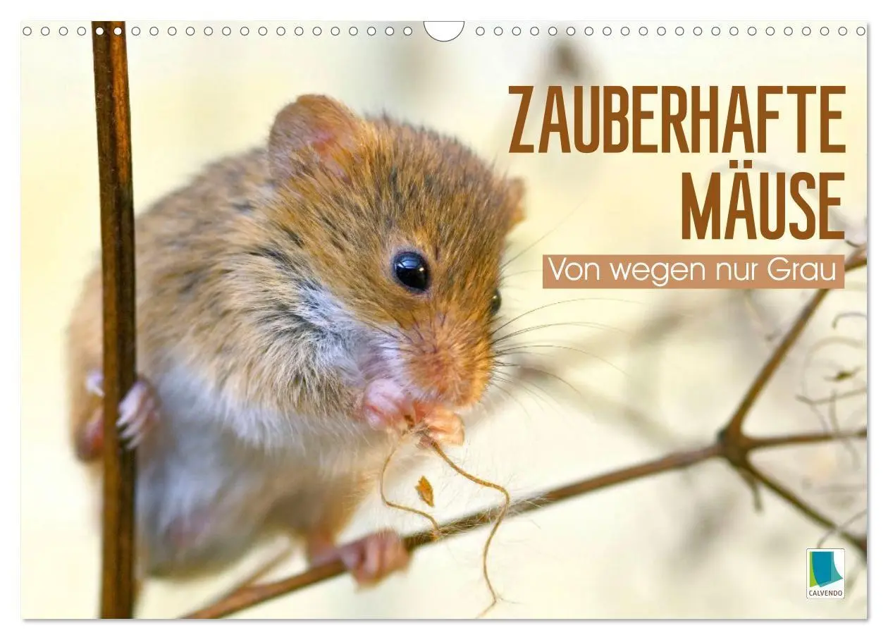 Cover: 9783516667943 | Zauberhafte Mäuse: Von wegen nur Grau (Wandkalender 2026 DIN A3...