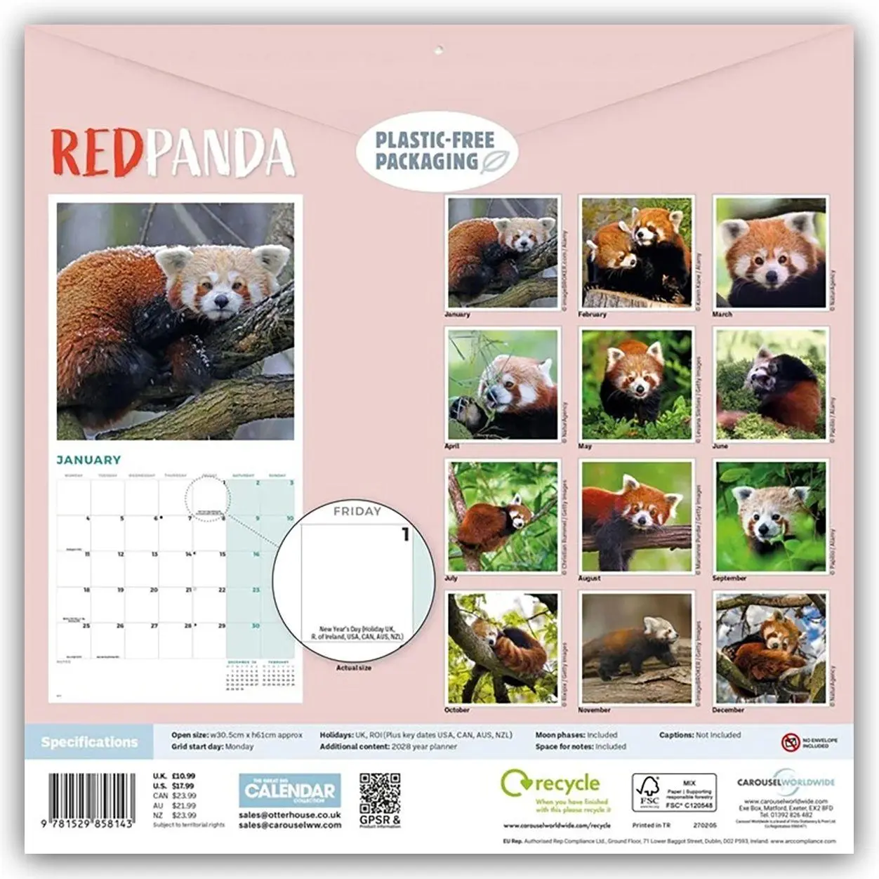 Rückseite: 9781529858143 | Red Panda - Rote Pandas - Rote Pandabären 2027 - Wand-Kalender | 28 S.