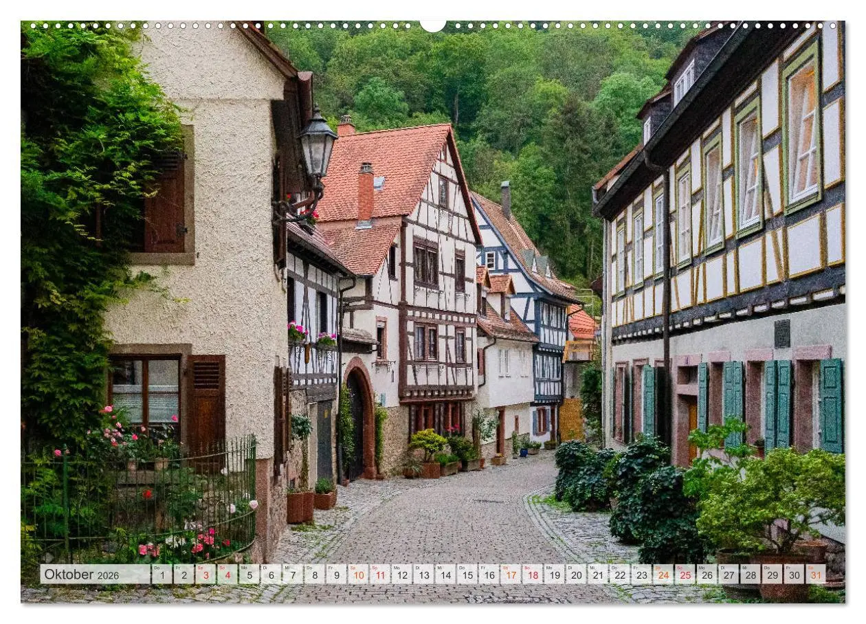 Bild: 9783457768143 | Weinheim Impressionen (Wandkalender 2026 DIN A2 quer), CALVENDO...