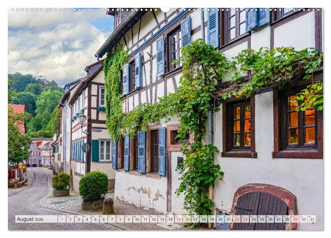 Bild: 9783457768143 | Weinheim Impressionen (Wandkalender 2026 DIN A2 quer), CALVENDO...