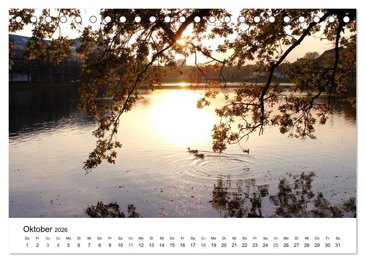 Bild: 9783516098143 | Schleswig-Holstein (Tischkalender 2026 DIN A5 quer), CALVENDO...