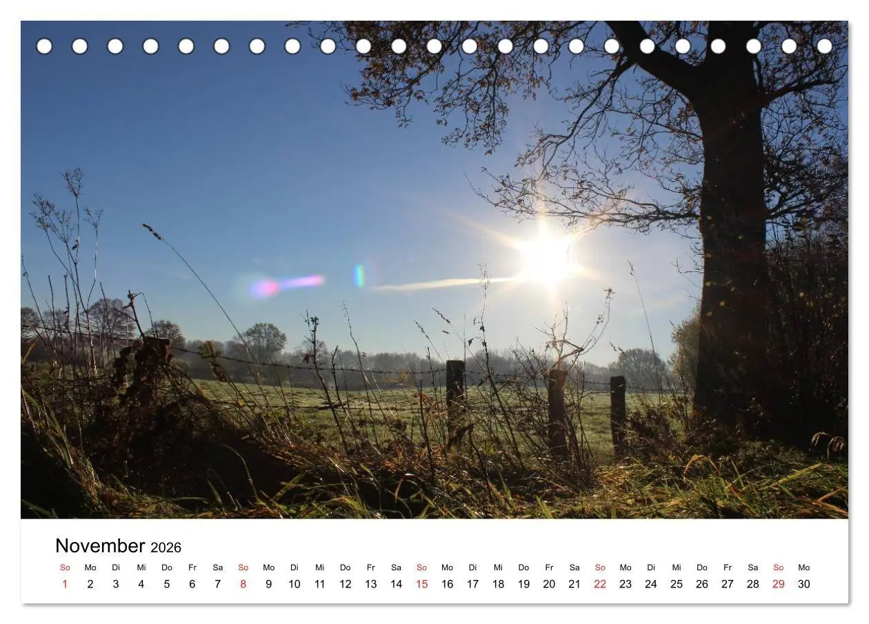Bild: 9783516098143 | Schleswig-Holstein (Tischkalender 2026 DIN A5 quer), CALVENDO...