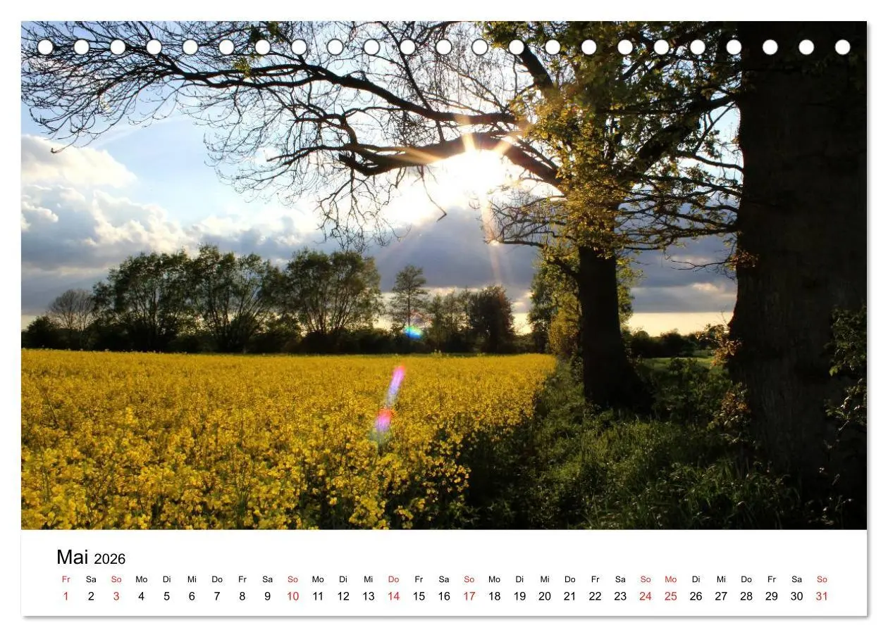 Bild: 9783516098143 | Schleswig-Holstein (Tischkalender 2026 DIN A5 quer), CALVENDO...