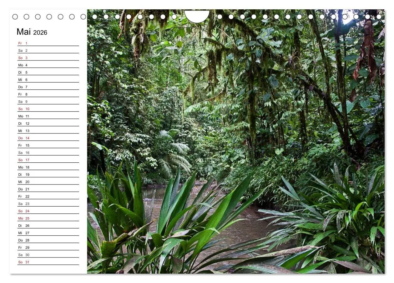 Bild: 9783516238143 | Kolumbien Impressionen (Wandkalender 2026 DIN A4 quer), CALVENDO...