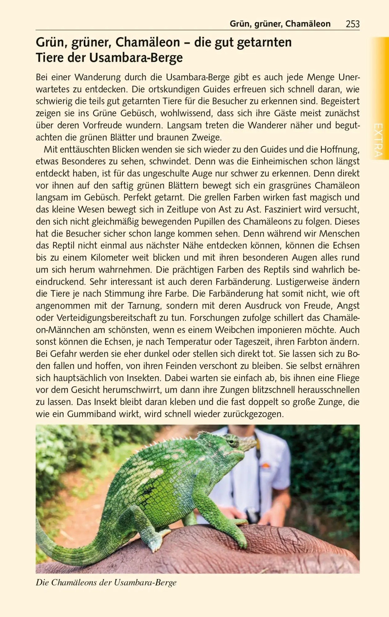 Bild: 9783897948143 | TRESCHER Reiseführer Tansania und Sansibar | Francisca Chengula | Buch