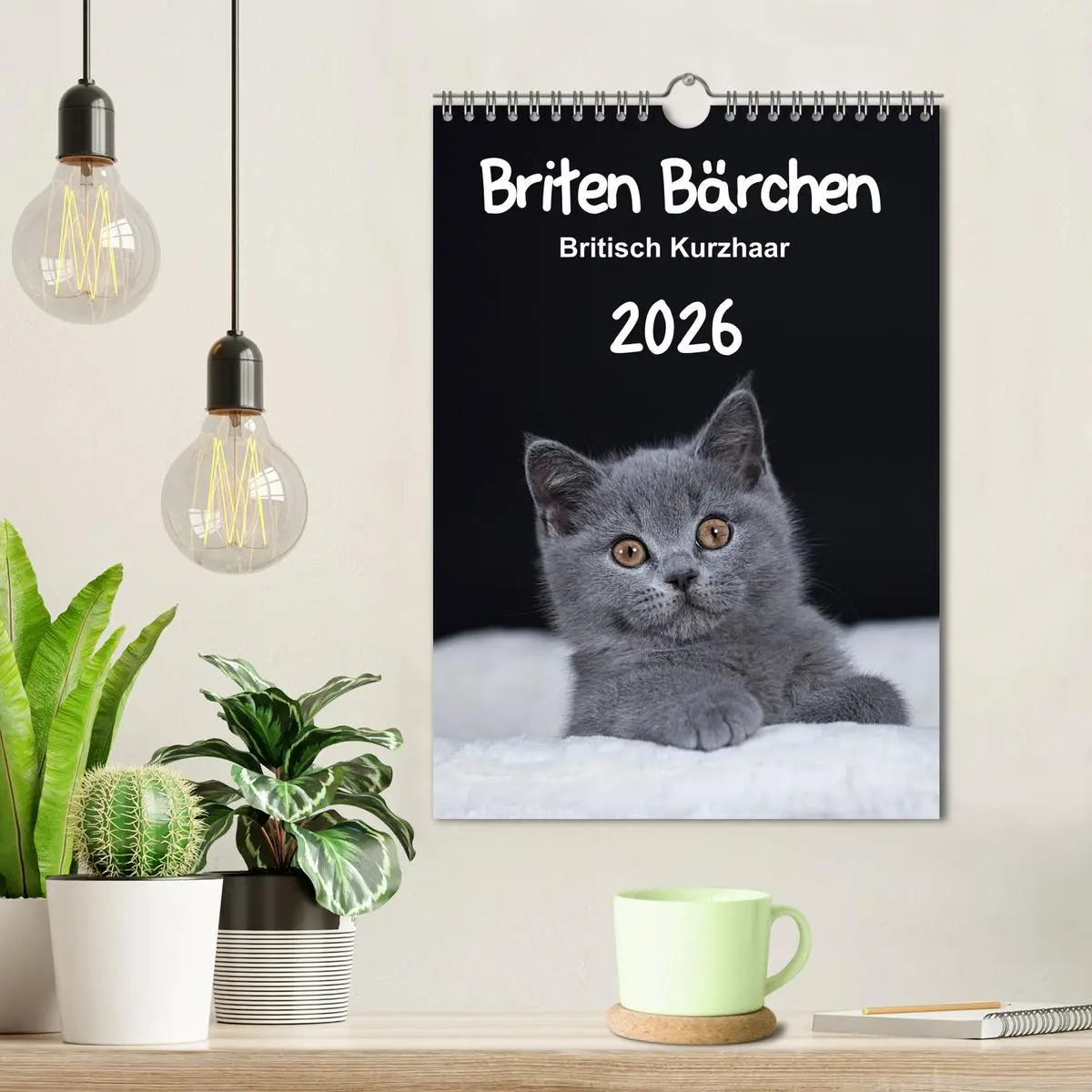 Bild: 9783516468243 | Briten Bärchen - Britisch Kurzhaar 2026 (Wandkalender 2026 DIN A4...