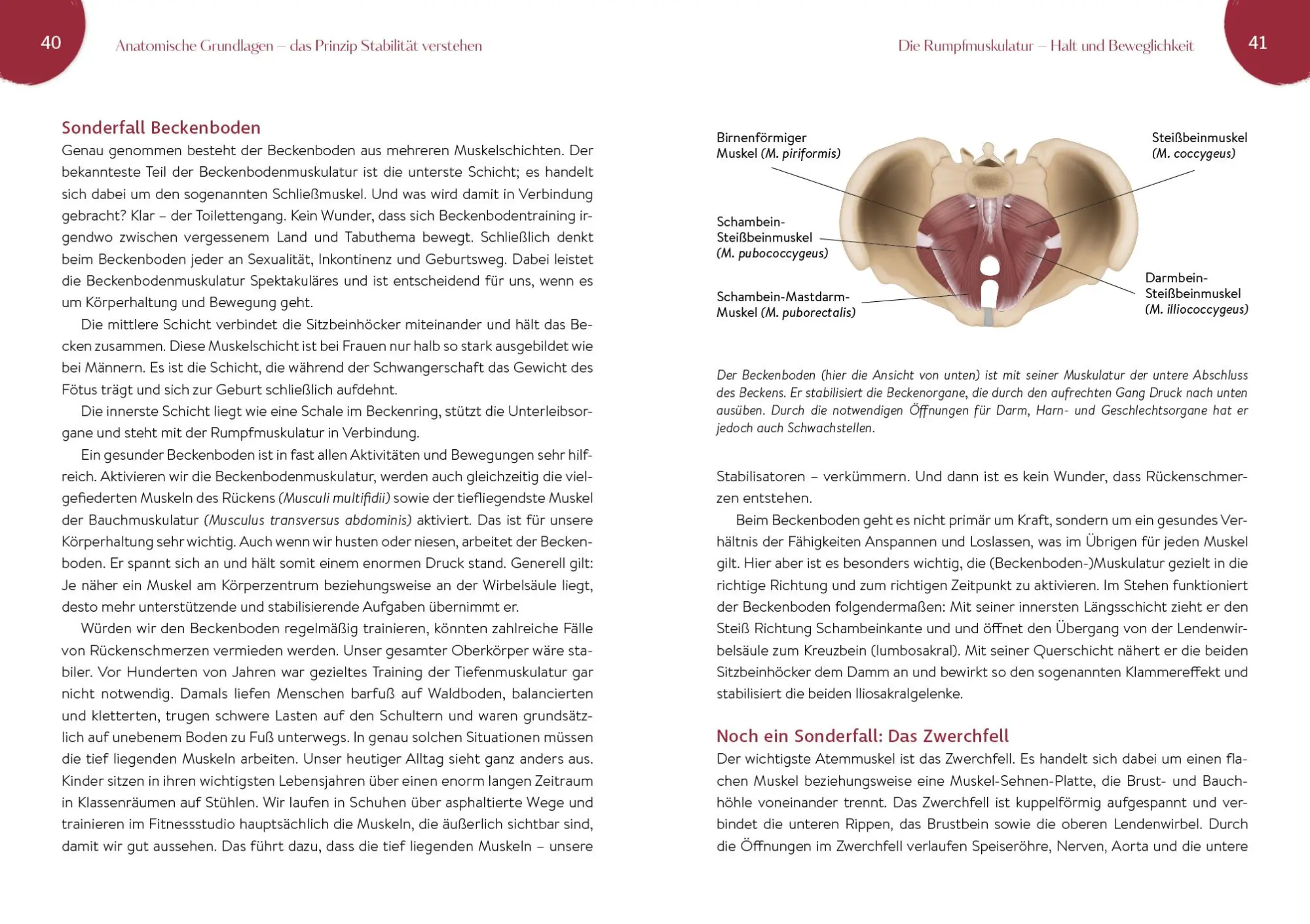 Bild: 9783742328243 | Yogapower | Christine Bielecki | Taschenbuch | 256 S. | Deutsch | 2025