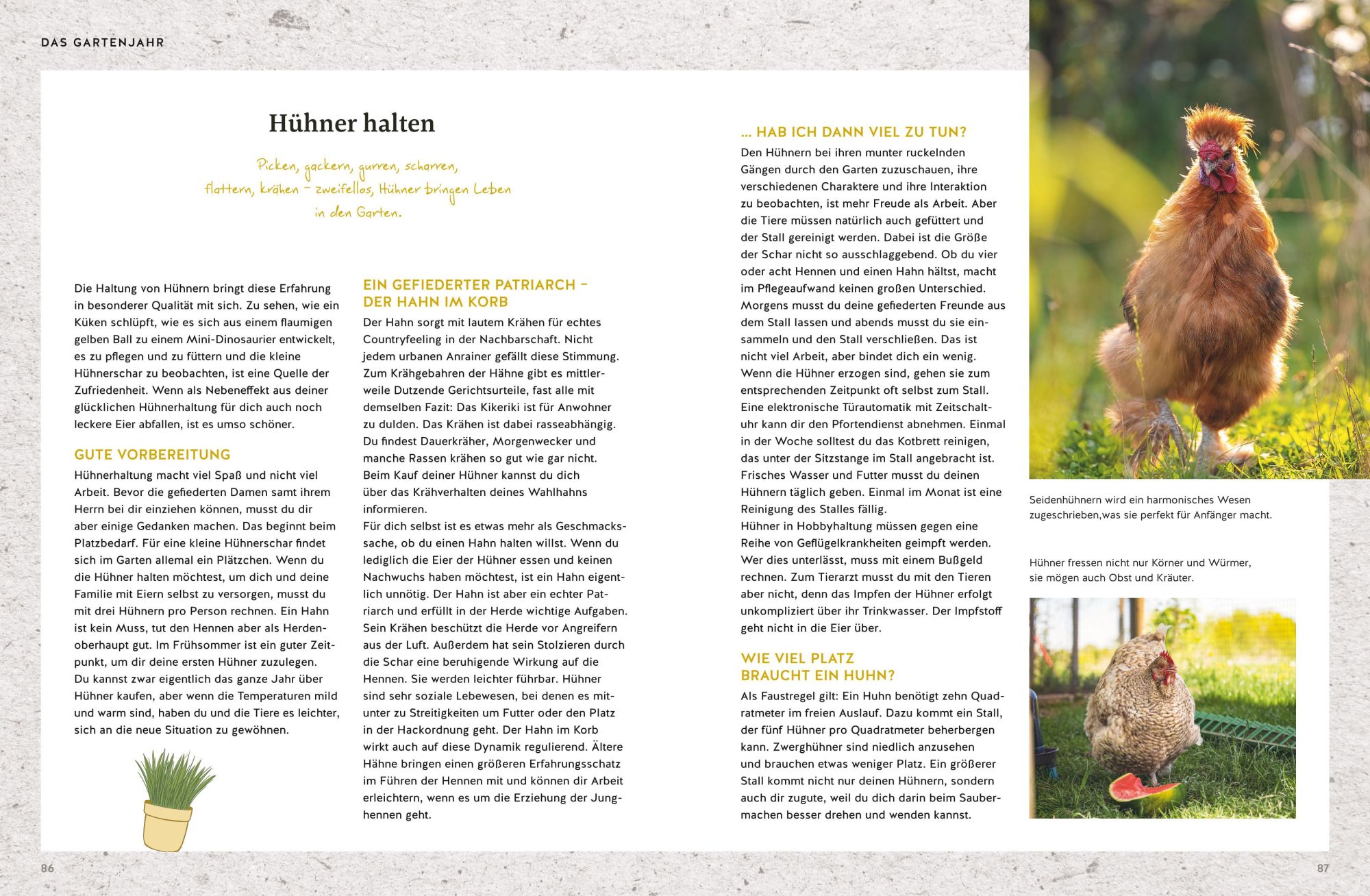 Bild: 9783833888243 | 365 Tage Selbstversorgung | Wanda Ganders (u. a.) | Buch | 192 S.