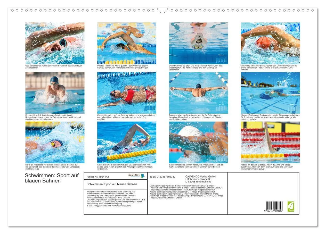 Bild: 9783457508343 | Schwimmen: Sport auf blauen Bahnen (Wandkalender 2026 DIN A2 quer),...