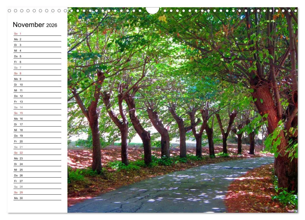 Bild: 9783457988343 | Franziskusweg - Camino di Assisi (Wandkalender 2026 DIN A3 quer),...