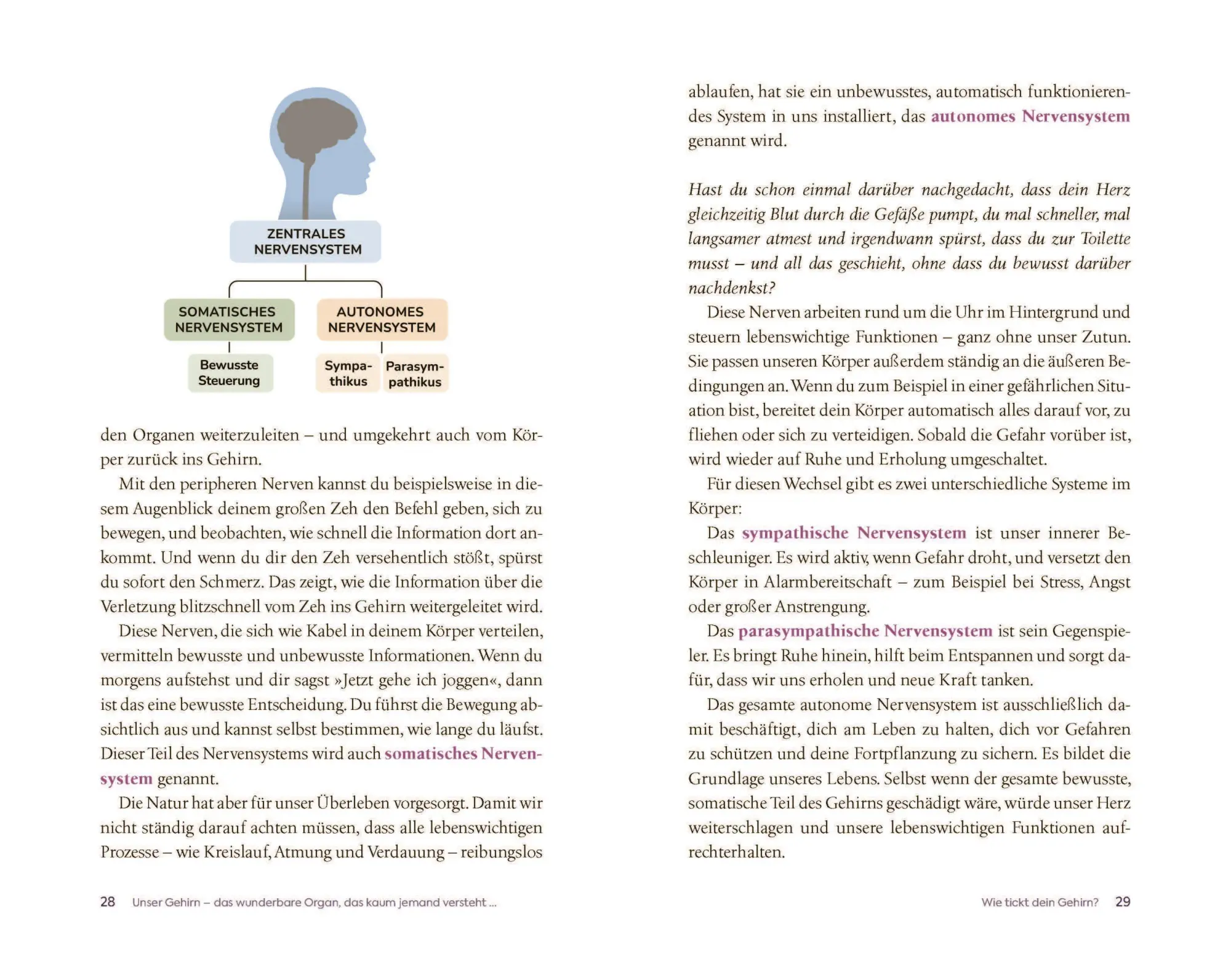 Bild: 9783466348343 | Glück entsteht im Kopf | Karella Easwaran | Taschenbuch | 272 S.