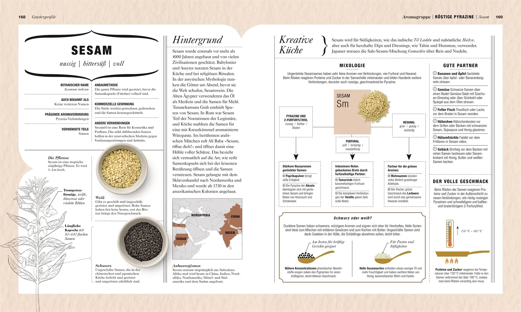 Bild: 9783831038343 | Gewürze | Aromen kombinieren, Kochen perfektionieren | Farrimond