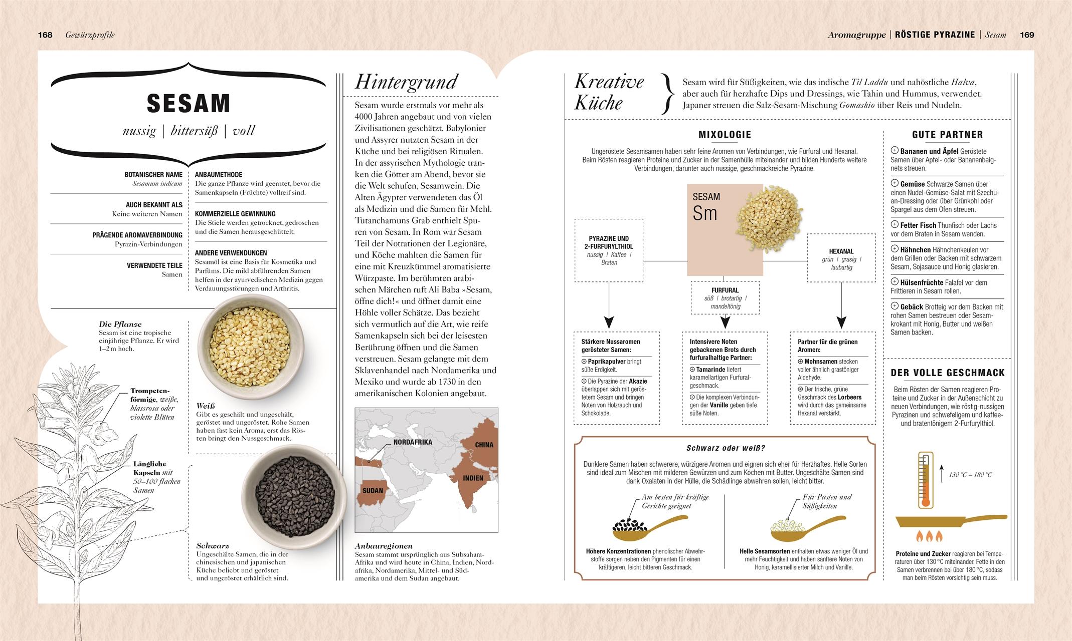 Bild: 9783831038343 | Gewürze | Aromen kombinieren, Kochen perfektionieren | Farrimond