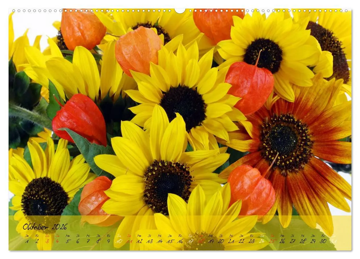 Bild: 9783516068443 | Blüten dicht an dicht (Wandkalender 2026 DIN A2 quer), CALVENDO...