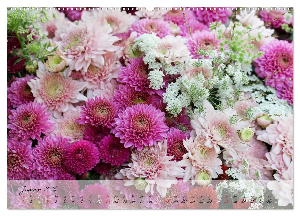 Bild: 9783516068443 | Blüten dicht an dicht (Wandkalender 2026 DIN A2 quer), CALVENDO...