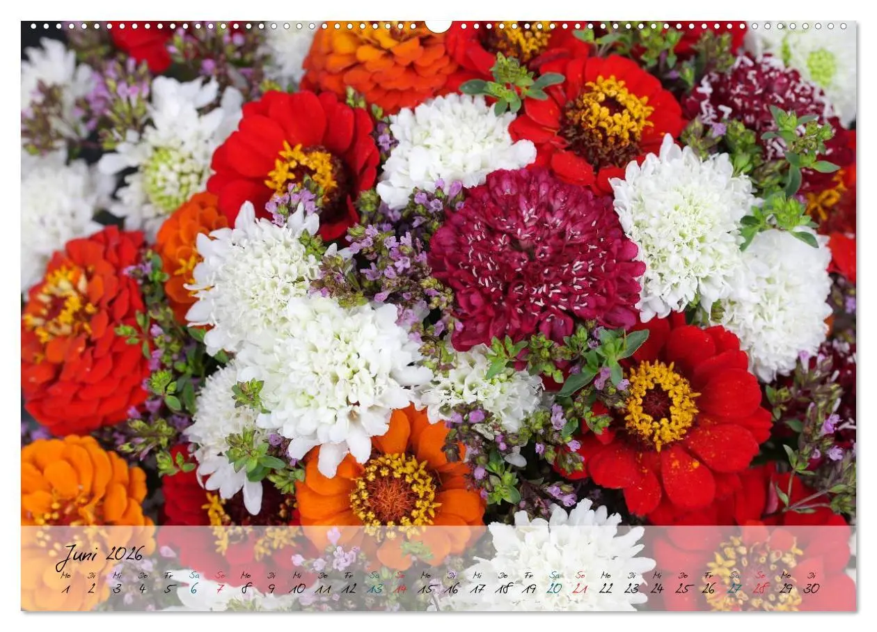 Bild: 9783516068443 | Blüten dicht an dicht (Wandkalender 2026 DIN A2 quer), CALVENDO...