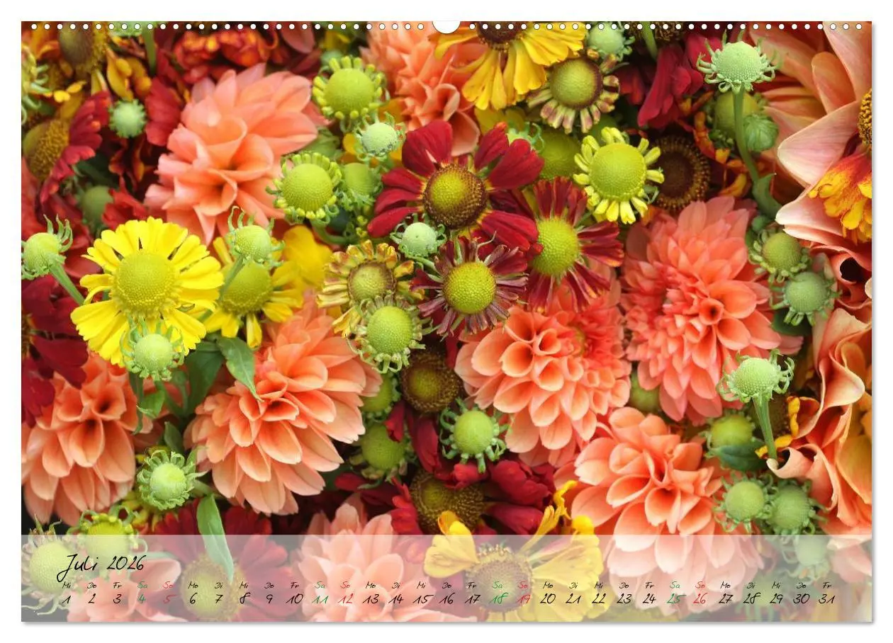 Bild: 9783516068443 | Blüten dicht an dicht (Wandkalender 2026 DIN A2 quer), CALVENDO...