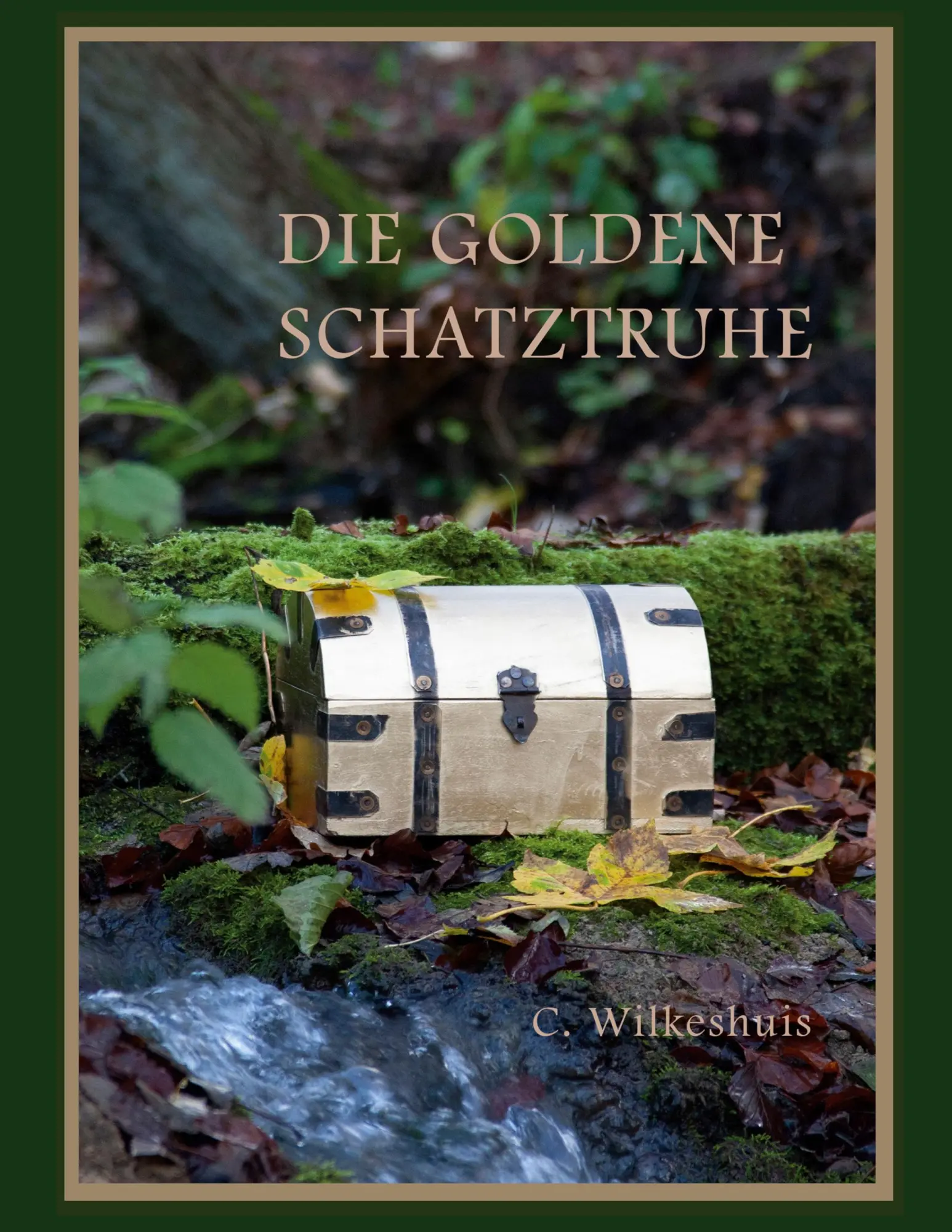 Cover: 9783695708543 | Die goldene Schatztruhe | Cornelis Wilkeshuis | Taschenbuch | 328 S.