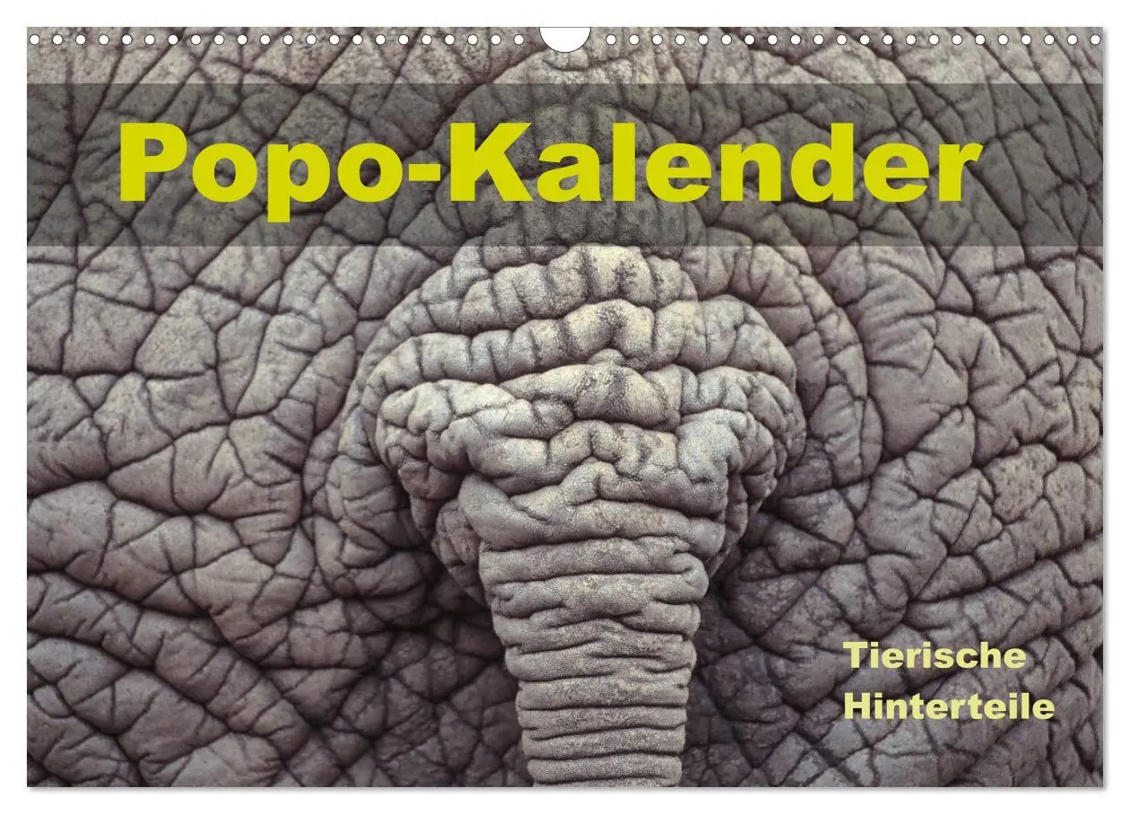 Cover: 9783457718643 | Popo-Kalender (Wandkalender 2026 DIN A3 quer), CALVENDO Monatskalender