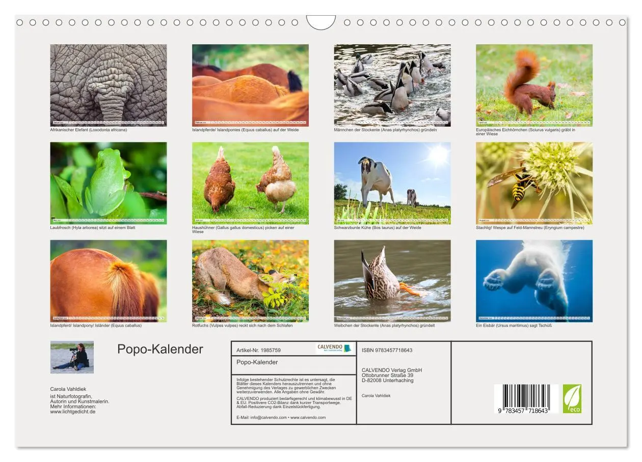 Bild: 9783457718643 | Popo-Kalender (Wandkalender 2026 DIN A3 quer), CALVENDO Monatskalender