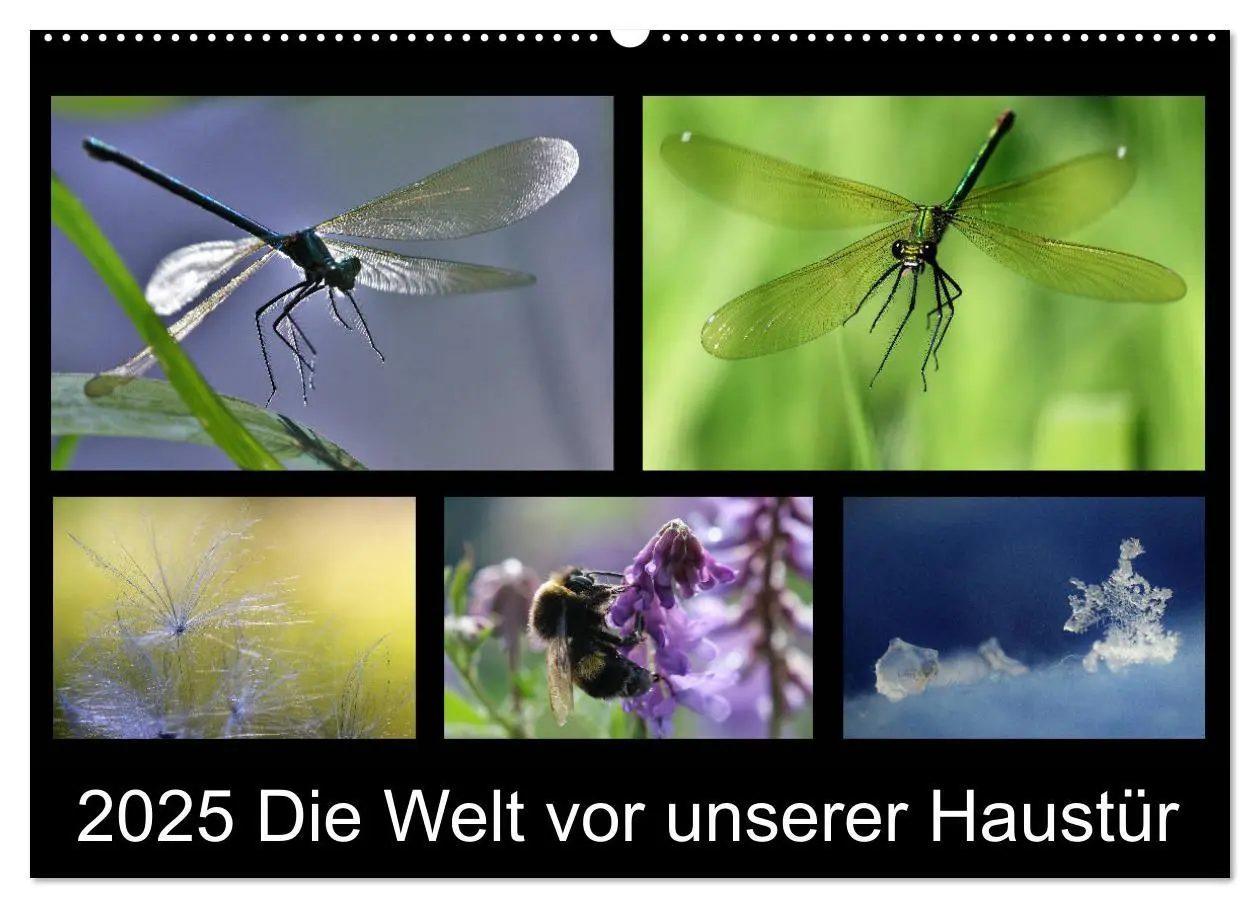 Cover: 9783435168743 | Die Welt vor unserer Haustür (Wandkalender 2025 DIN A2 quer),...
