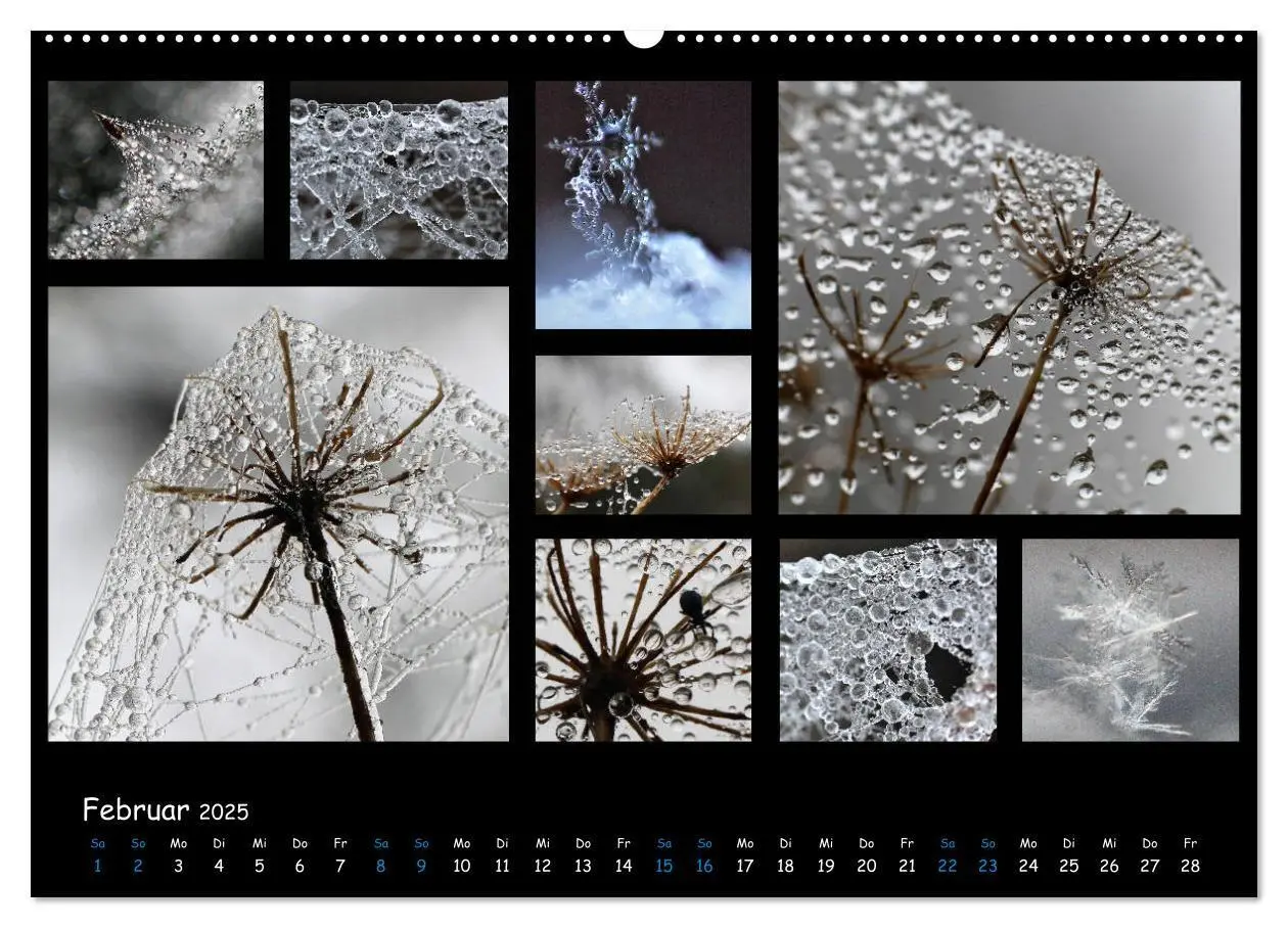 Bild: 9783435168743 | Die Welt vor unserer Haustür (Wandkalender 2025 DIN A2 quer),...