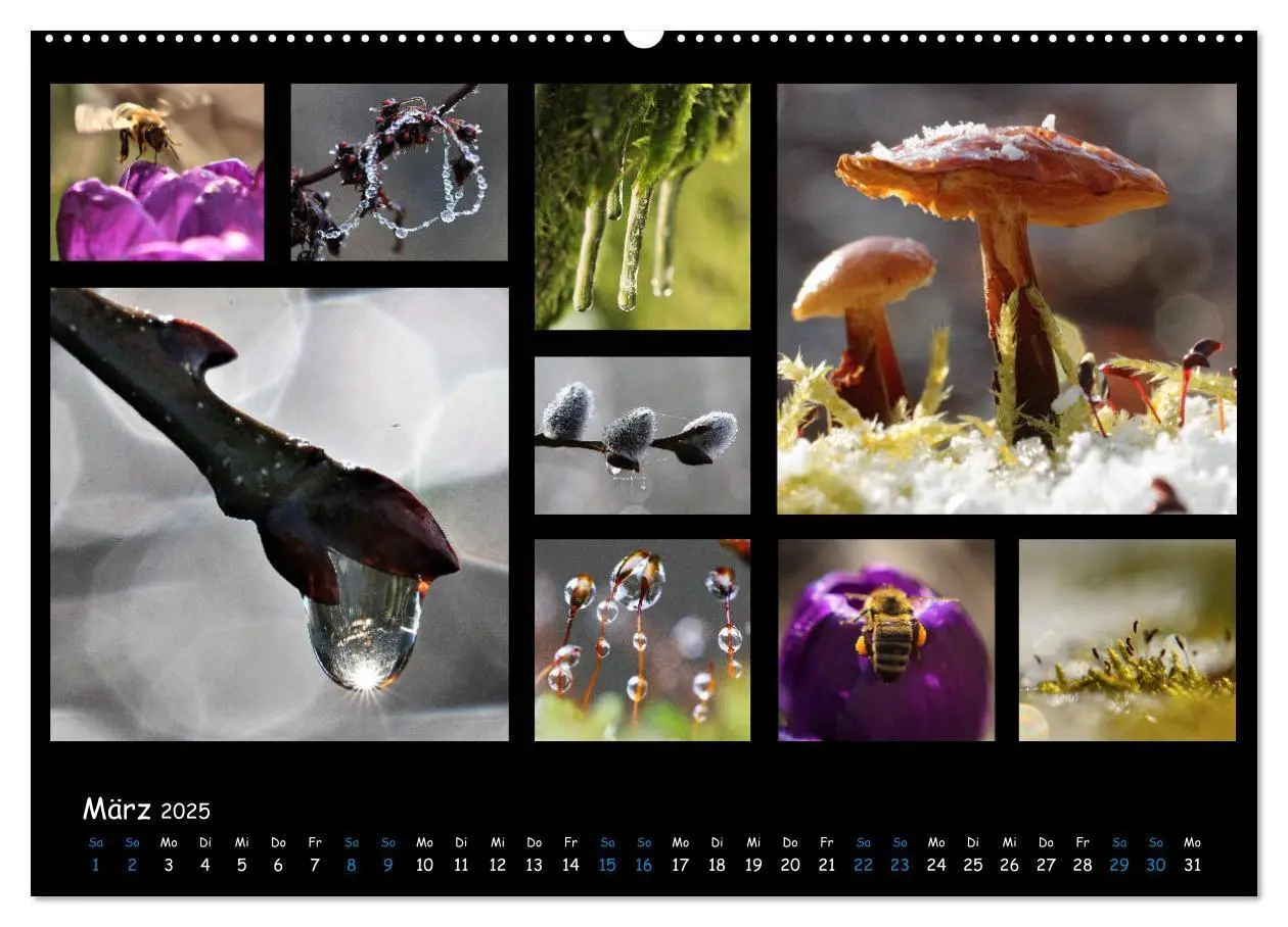 Bild: 9783435168743 | Die Welt vor unserer Haustür (Wandkalender 2025 DIN A2 quer),...
