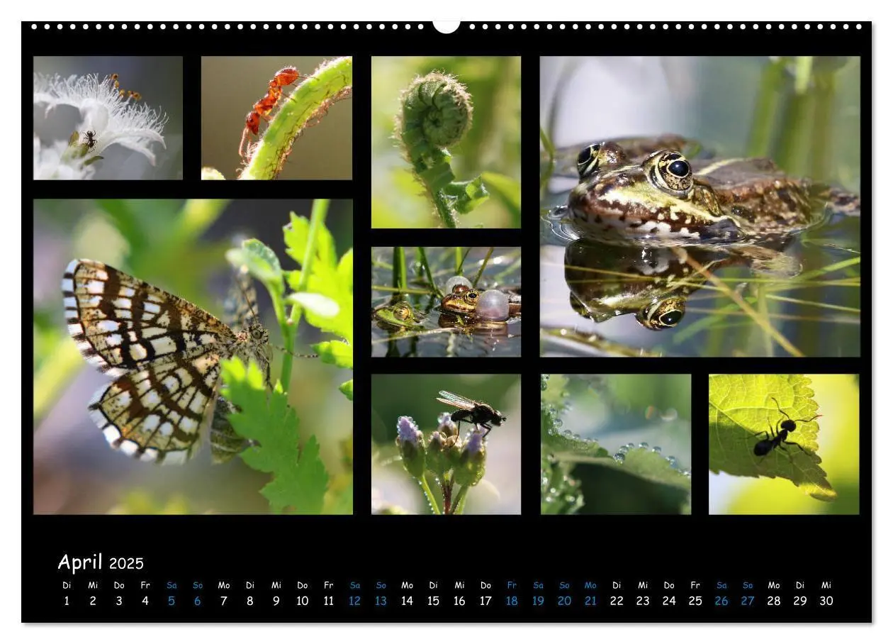Bild: 9783435168743 | Die Welt vor unserer Haustür (Wandkalender 2025 DIN A2 quer),...