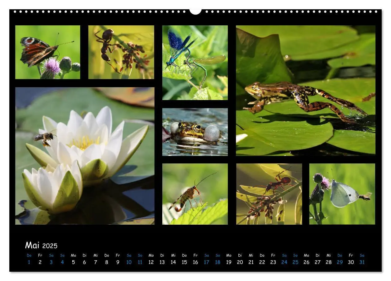 Bild: 9783435168743 | Die Welt vor unserer Haustür (Wandkalender 2025 DIN A2 quer),...
