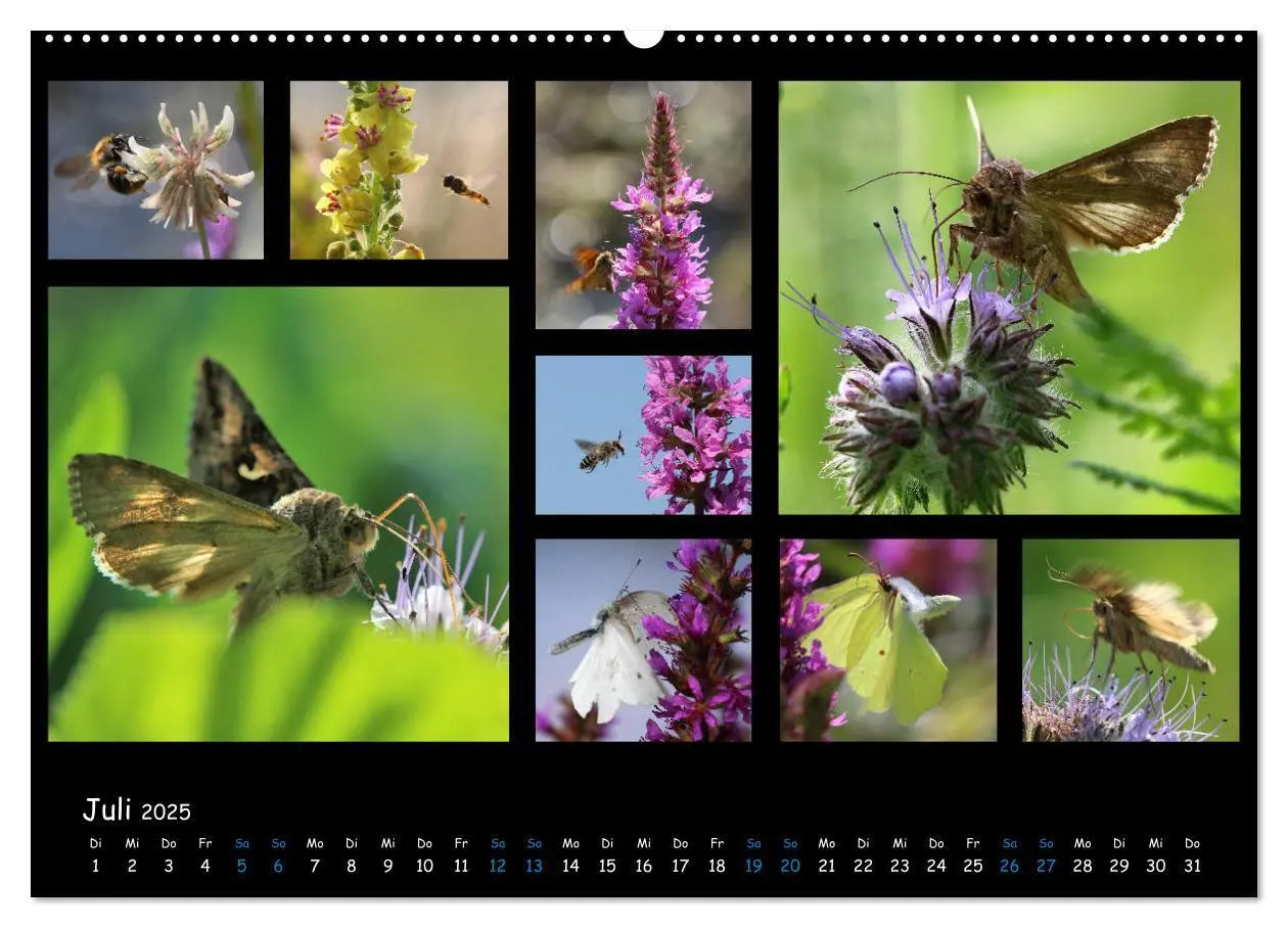 Bild: 9783435168743 | Die Welt vor unserer Haustür (Wandkalender 2025 DIN A2 quer),...