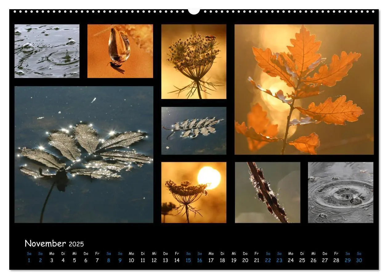 Bild: 9783435168743 | Die Welt vor unserer Haustür (Wandkalender 2025 DIN A2 quer),...