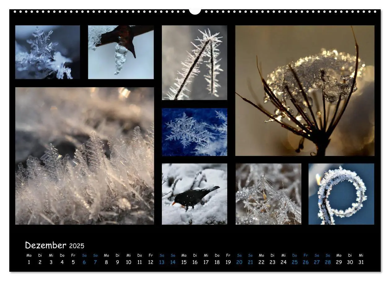 Bild: 9783435168743 | Die Welt vor unserer Haustür (Wandkalender 2025 DIN A2 quer),...
