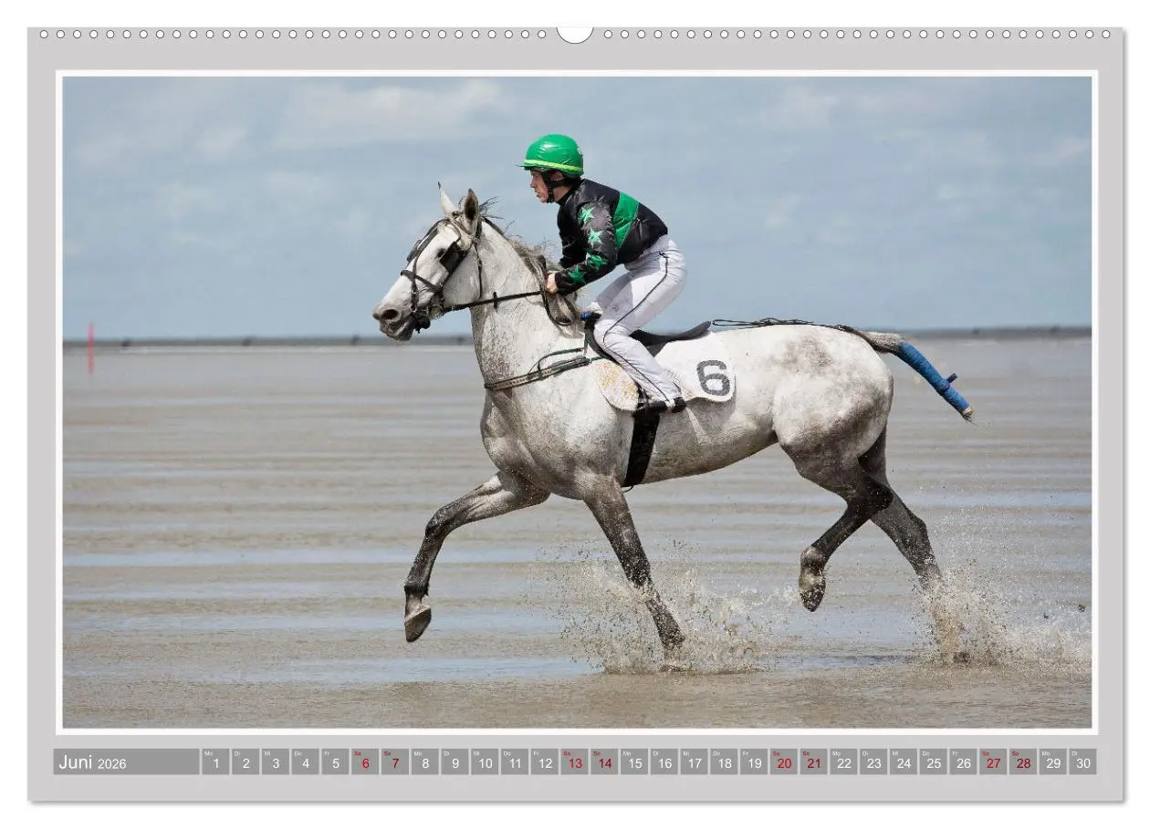 Bild: 9783457638743 | Pferde-Rennen auf Schnee und im Wasser (Wandkalender 2026 DIN A2...