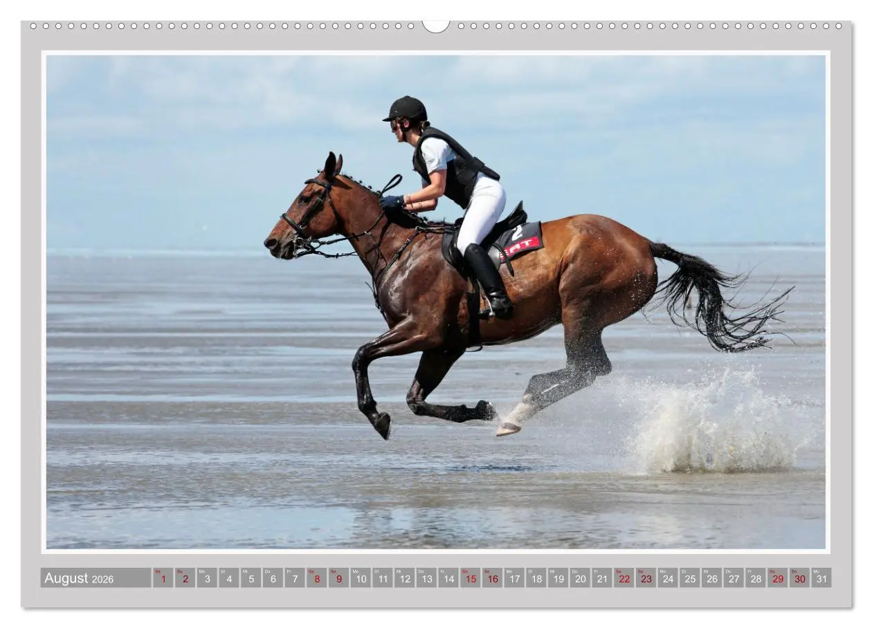 Bild: 9783457638743 | Pferde-Rennen auf Schnee und im Wasser (Wandkalender 2026 DIN A2...