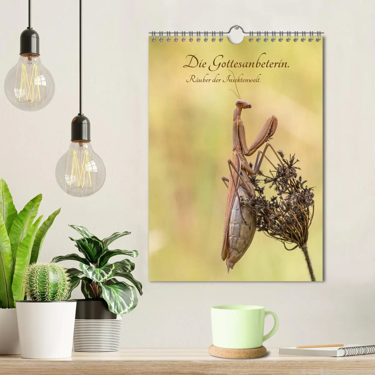 Bild: 9783516408843 | Die Gottesanbeterin. Räuber der Insektenwelt. (Wandkalender 2026...