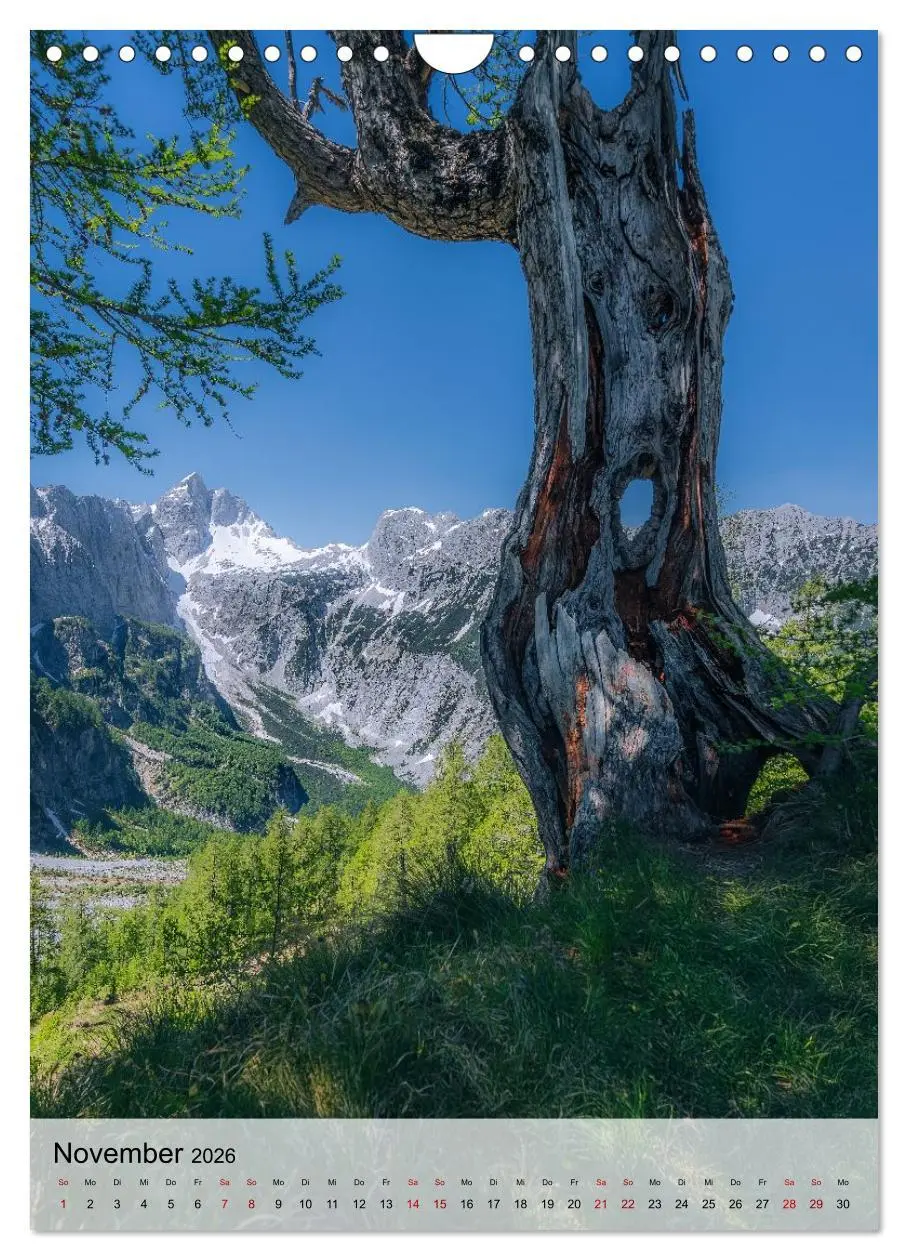 Bild: 9783516648843 | Slowenien - Frühlingsimpressionen (Wandkalender 2026 DIN A4 hoch),...