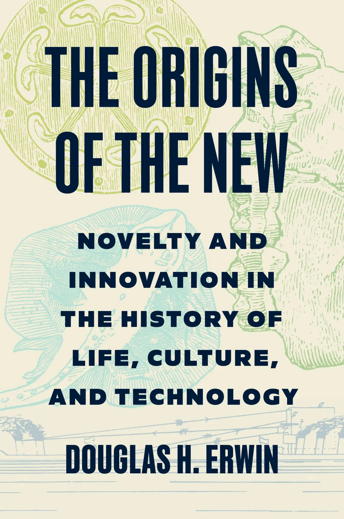 Cover: 9780691178943 | The Origins of the New | Douglas H. Erwin | Buch | Englisch | 2026