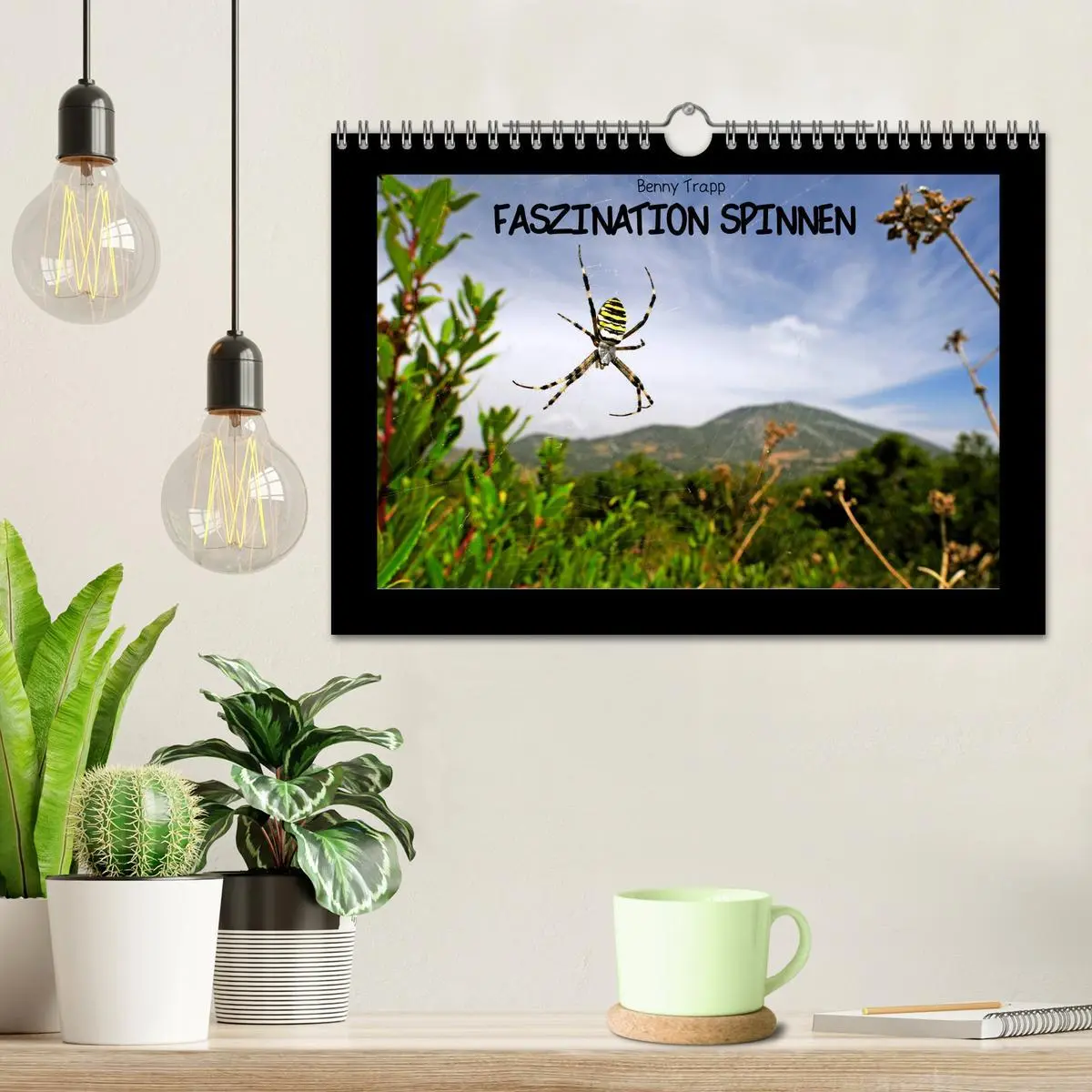 Bild: 9783457928943 | Faszination Spinnen (Wandkalender 2026 DIN A4 quer), CALVENDO...