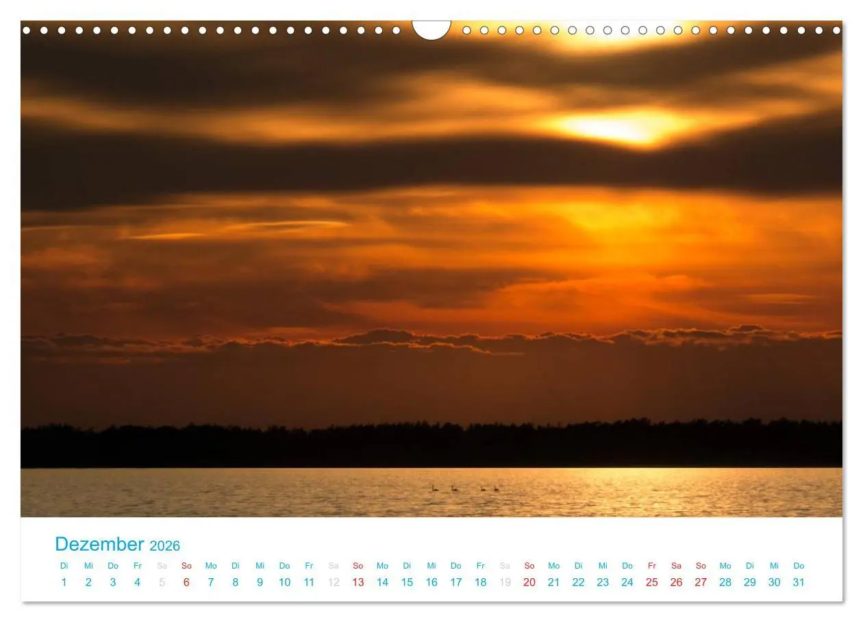 Bild: 9783516188943 | Der Darß Kalender (Wandkalender 2026 DIN A3 quer), CALVENDO...