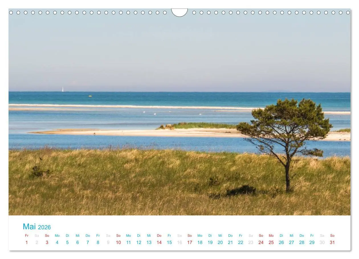 Bild: 9783516188943 | Der Darß Kalender (Wandkalender 2026 DIN A3 quer), CALVENDO...