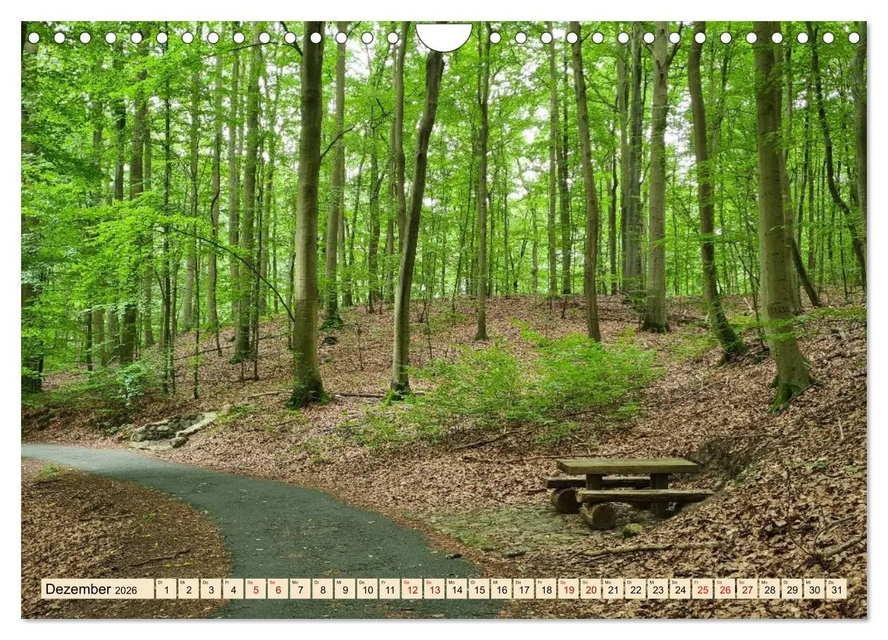 Bild: 9783457679043 | Meditatives Feldberg (Wandkalender 2026 DIN A4 quer), CALVENDO...