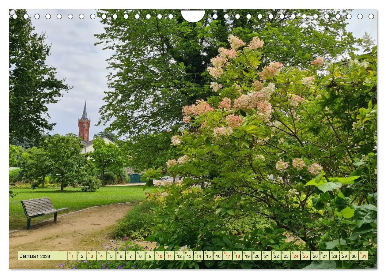 Bild: 9783457679043 | Meditatives Feldberg (Wandkalender 2026 DIN A4 quer), CALVENDO...
