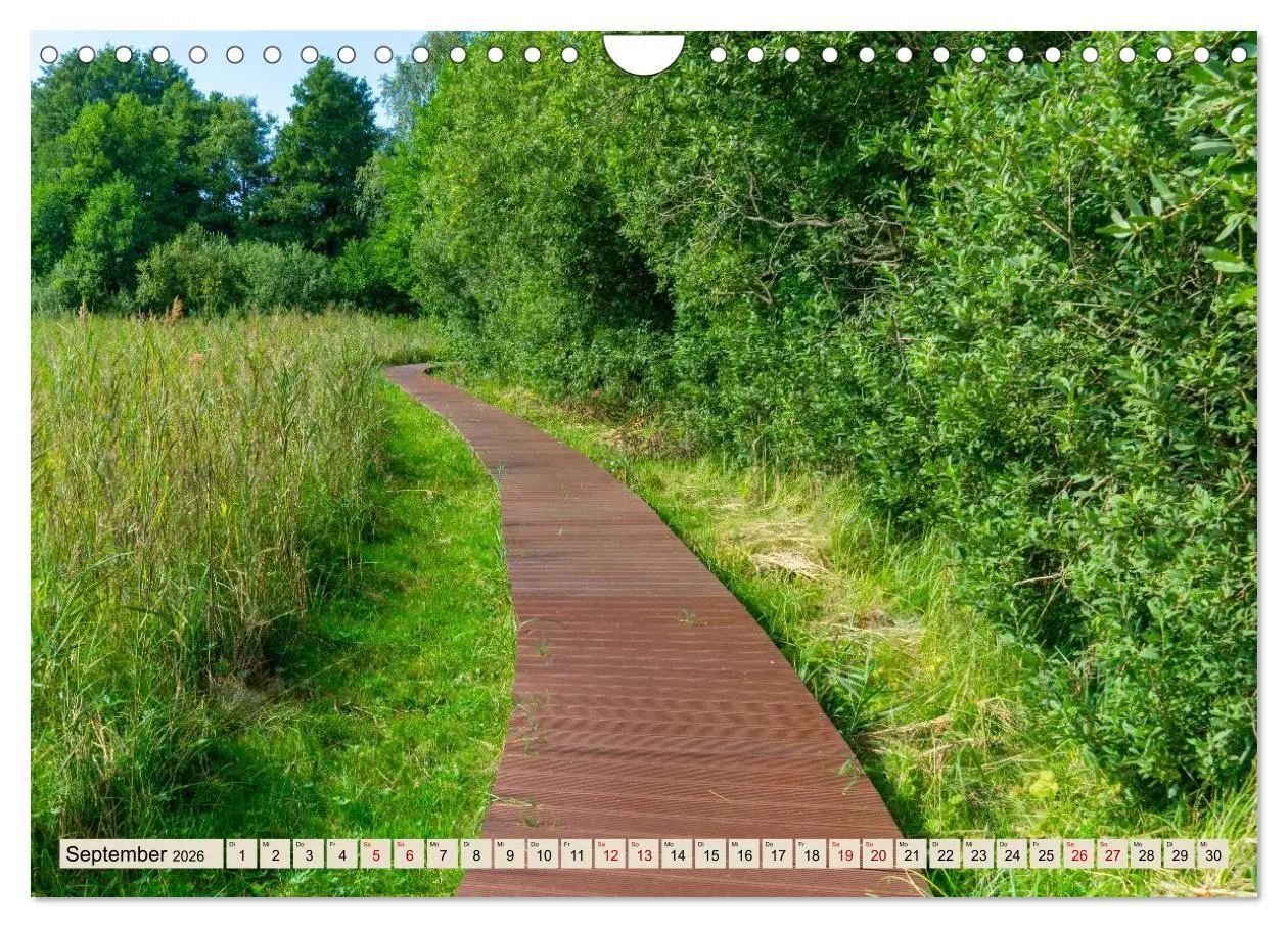 Bild: 9783457679043 | Meditatives Feldberg (Wandkalender 2026 DIN A4 quer), CALVENDO...