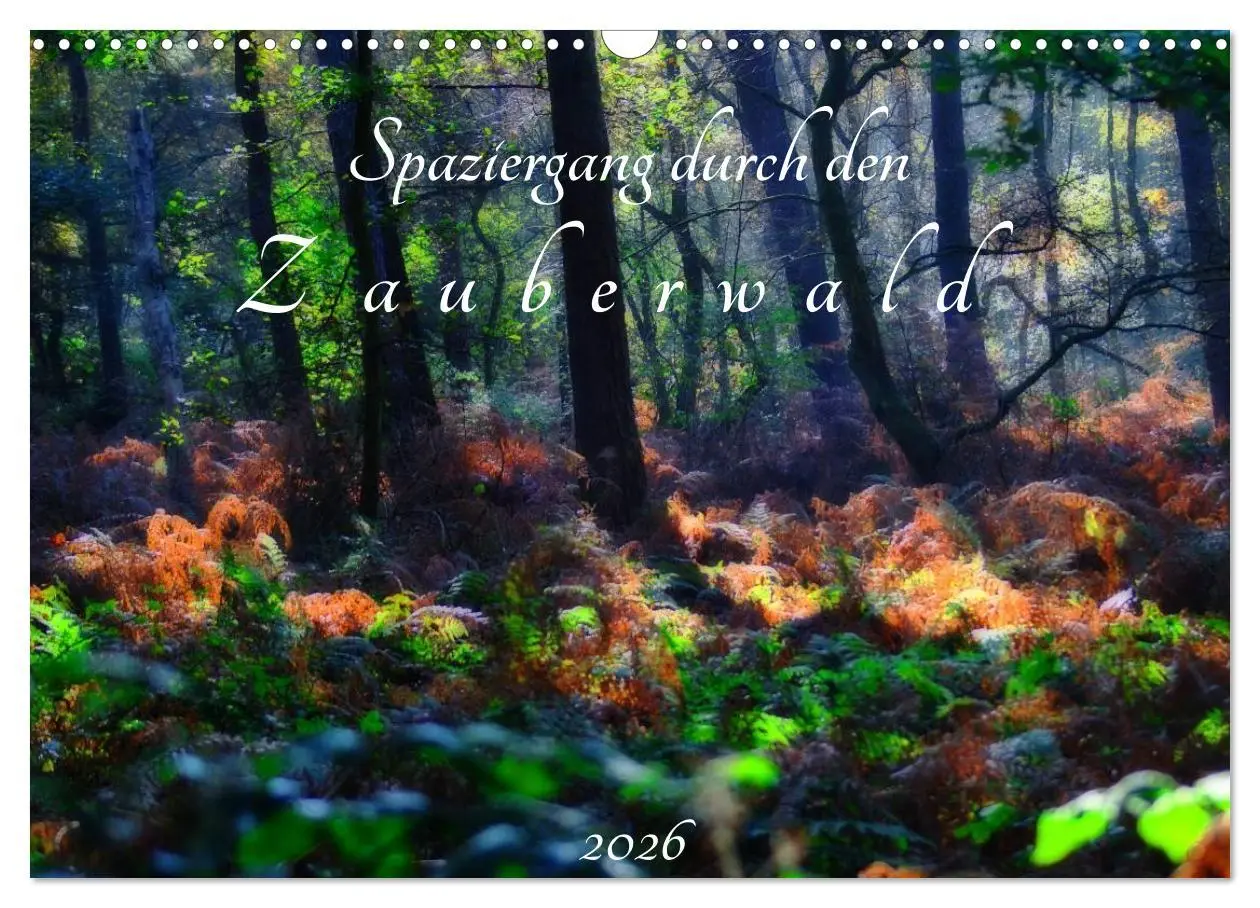 Cover: 9783457989043 | Spaziergang durch den Zauberwald (Wandkalender 2026 DIN A3 quer),...