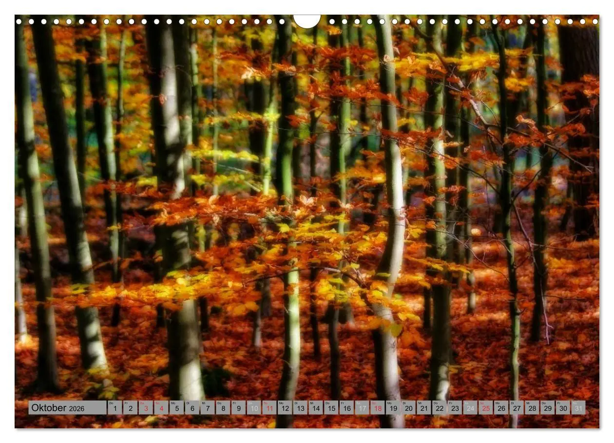 Bild: 9783457989043 | Spaziergang durch den Zauberwald (Wandkalender 2026 DIN A3 quer),...