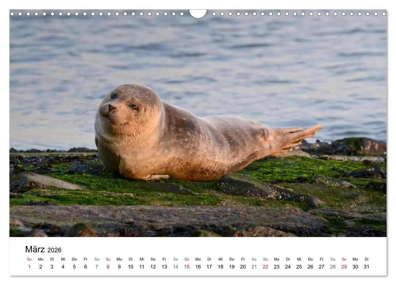 Bild: 9783516079043 | Maritime Impressionen Wilhelmshaven (Wandkalender 2026 DIN A3...