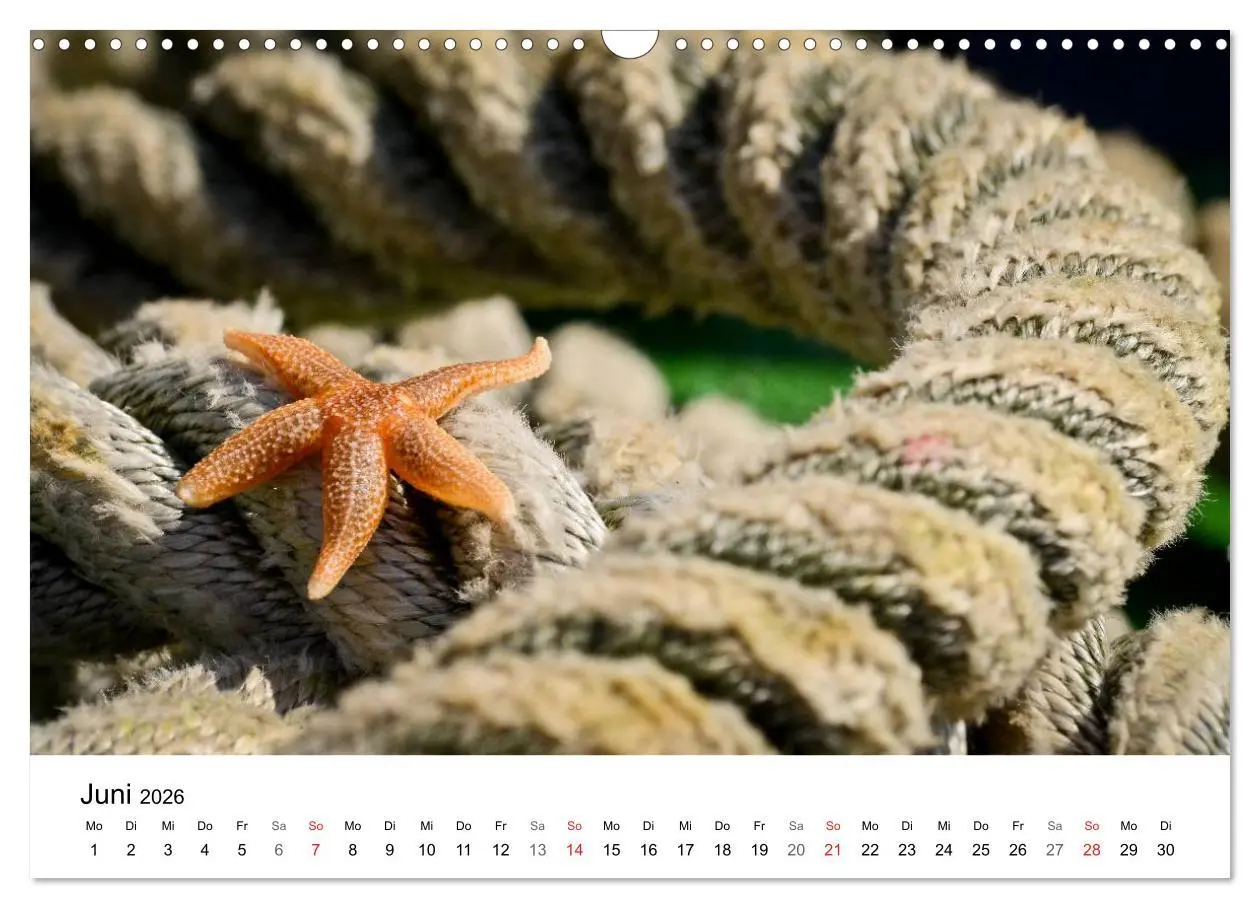 Bild: 9783516079043 | Maritime Impressionen Wilhelmshaven (Wandkalender 2026 DIN A3...
