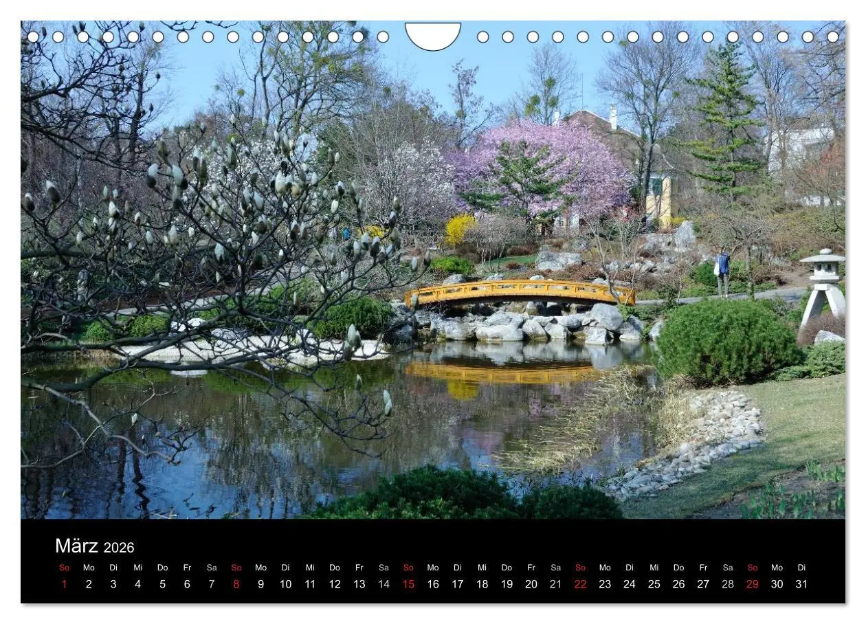 Bild: 9783516209143 | Wien (Wandkalender 2026 DIN A4 quer), CALVENDO Monatskalender | Strutz